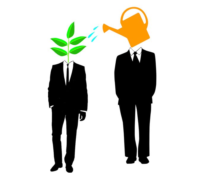 find-your-mentor